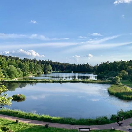 Apartment Seeblick Am Bocksberg - Hahnenklee "Vier Jahreszeiten" 고슬라르 외부 사진