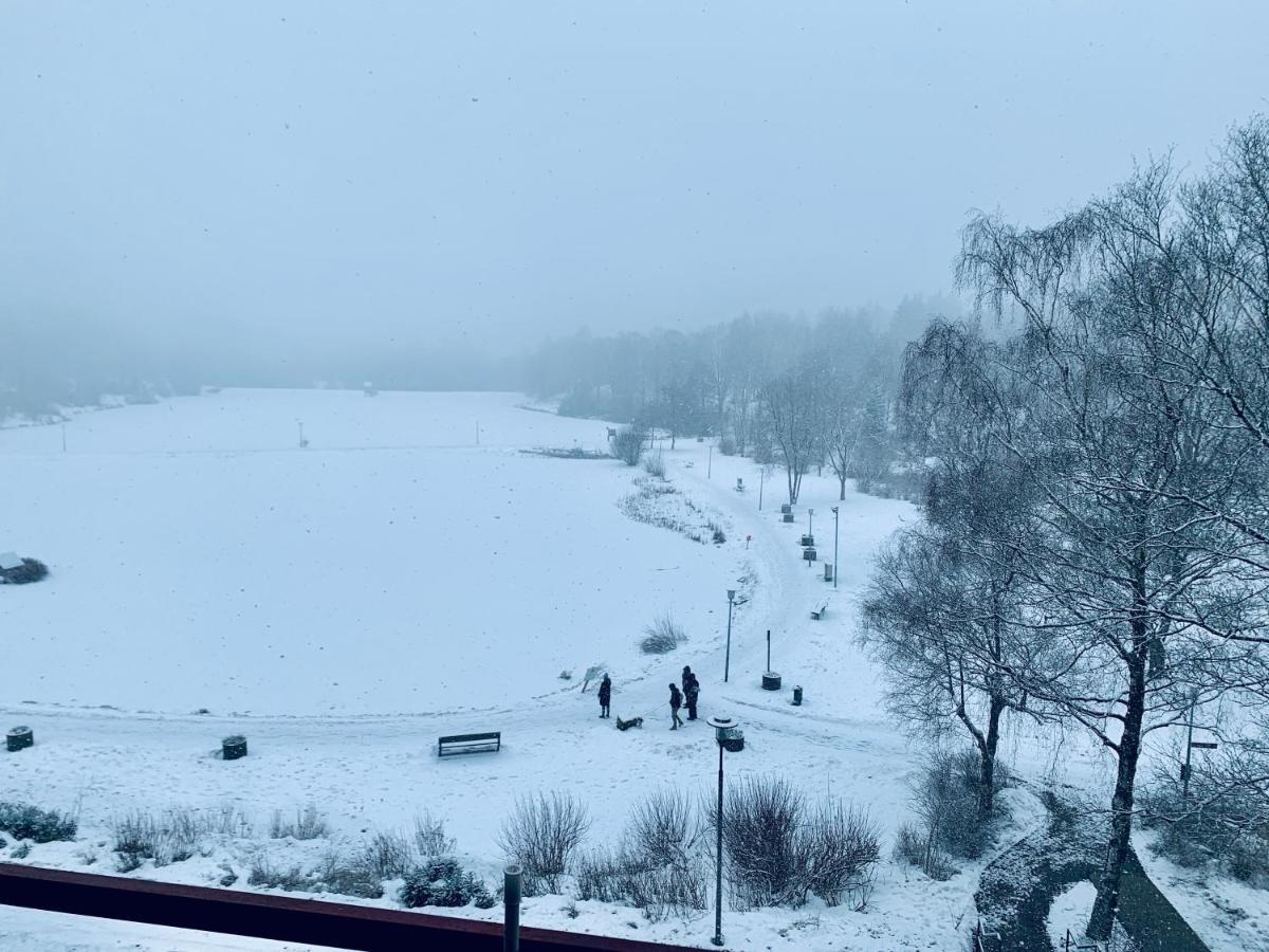 Apartment Seeblick Am Bocksberg - Hahnenklee "Vier Jahreszeiten" 고슬라르 외부 사진