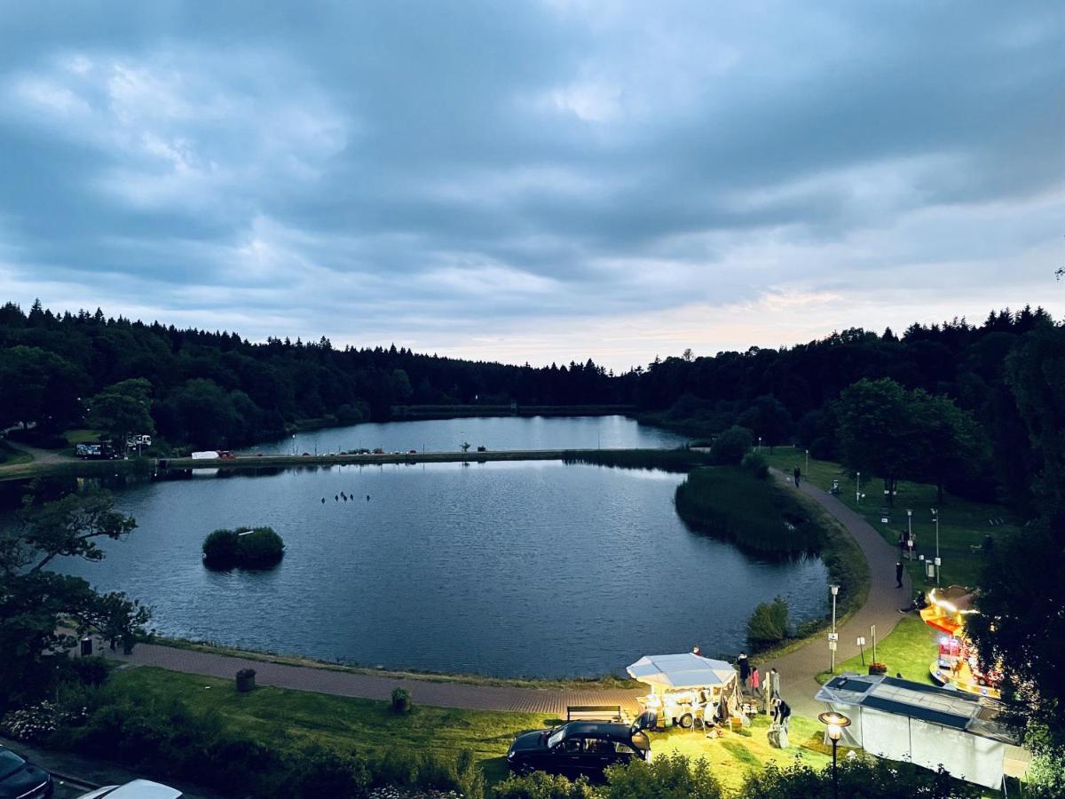 Apartment Seeblick Am Bocksberg - Hahnenklee "Vier Jahreszeiten" 고슬라르 외부 사진